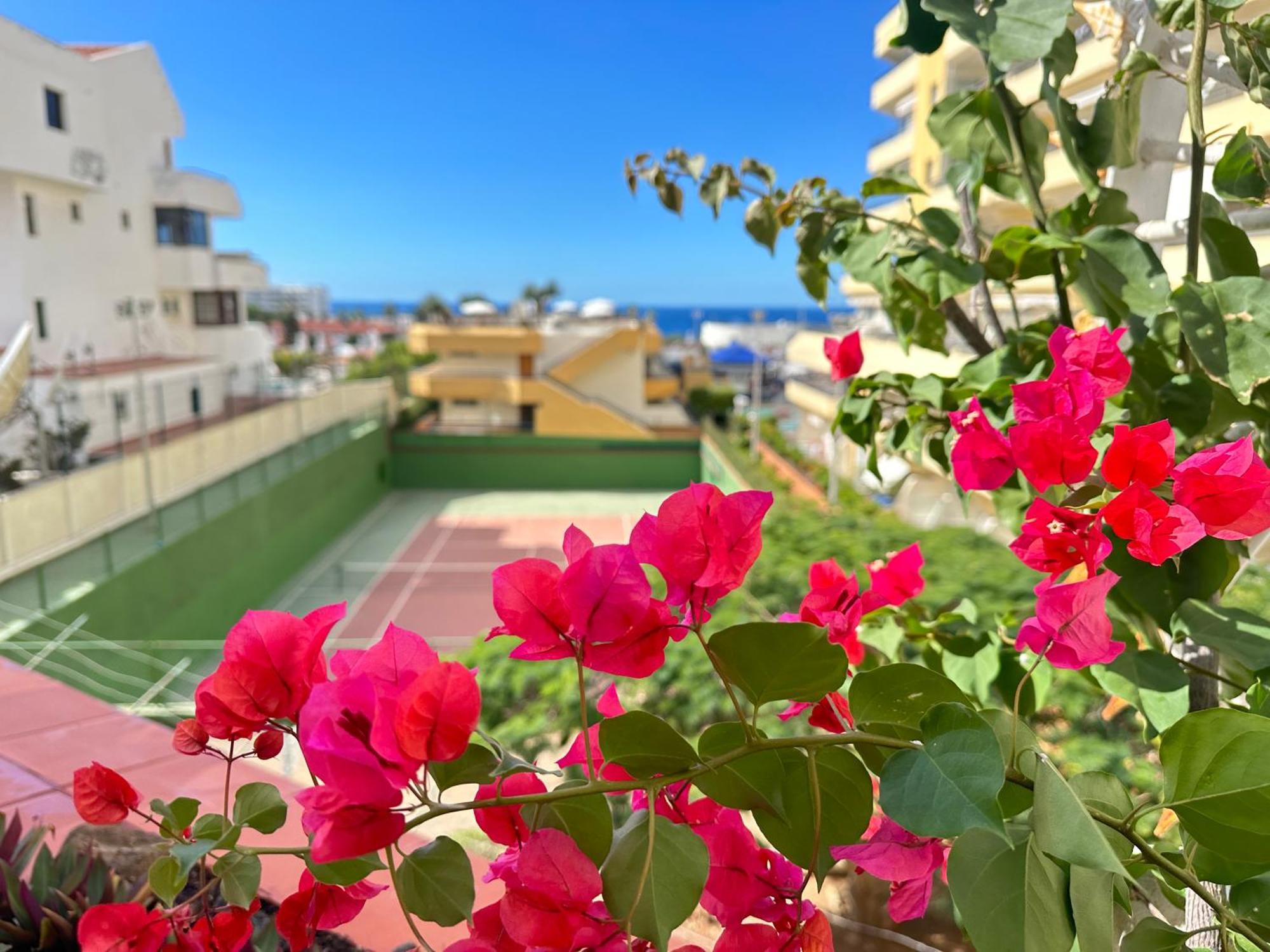 Apartment In Ocean Park, Costa Adeje, Tenerife Kültér fotó